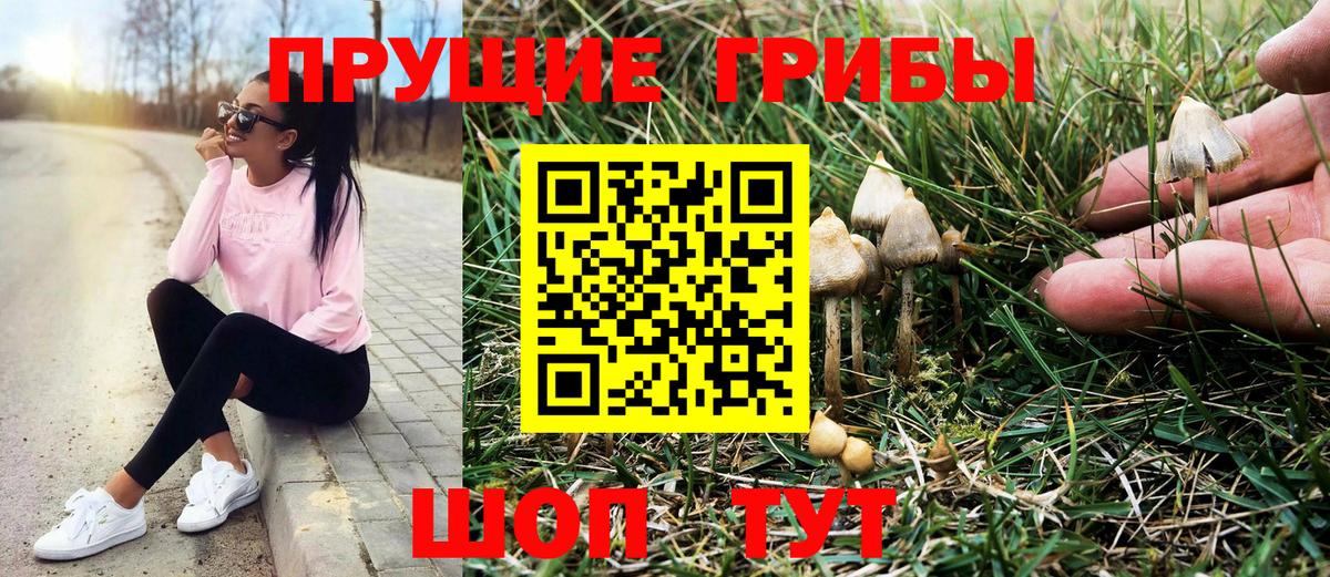 Прохладный  Галлюциногенные грибы мицелий  Вход с VPN  Псилоцибиновые грибы ЛСД 
